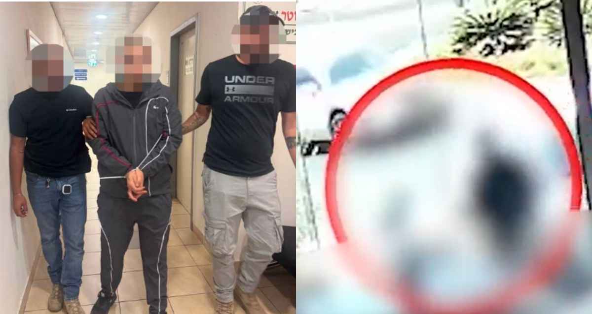 תיעוד מצלמת אבטחה ותמונה ממעצר החשוד, צילום: משטרה