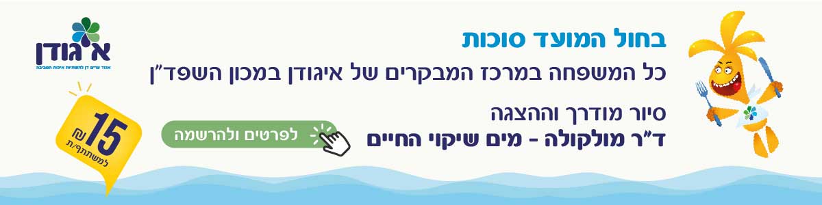 בחול המועד סוכות כל המשפחה במרכז המבקרים של איגודן במכון השפדן. סיור מודרך והצגה דוקטור מולקולה - מים שירוקי החיים. לפרטים והרשמה. 15 שח למשתתף/ת
